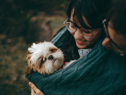 Paws for Healing: How Pets Aid in Overcoming Addiction and Enhancing Mental Health